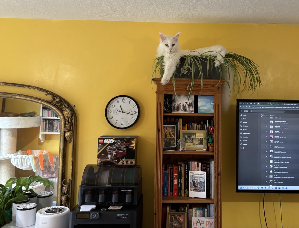 So how’s your day?