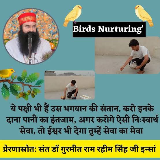 BishanMalik's tweet image. #SaintDrMSG की प्रेरणा से करोड़ों लोगों में प्रकृति के प्रति जिम्मेदारी,दया और प्यार बढ़ा है।
दाना एवं पानी का प्रबंध करके नन्हे पक्षियों की मदद करते हैं।
#Birdnurturing #FeedEveryCreature
#CareForBirds