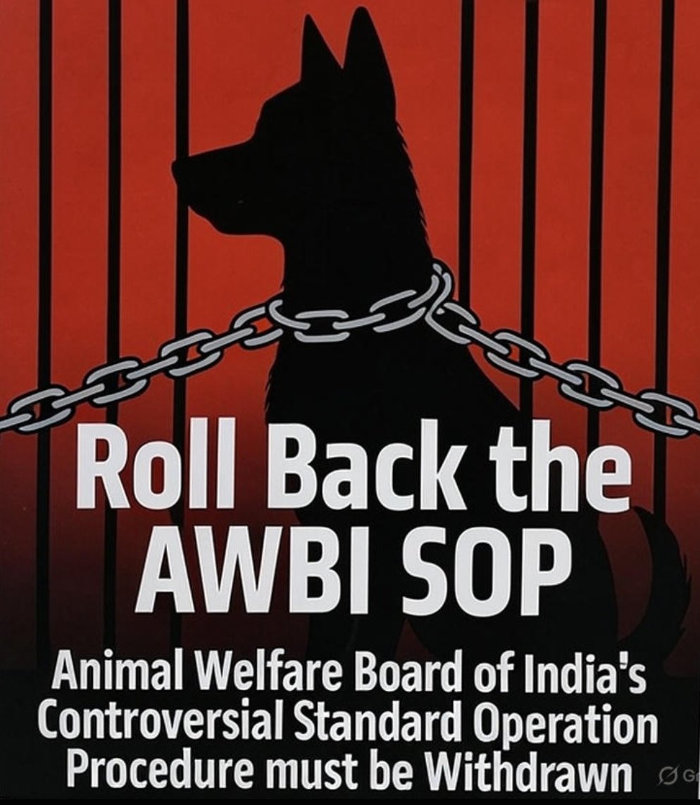 rashim s tweet media