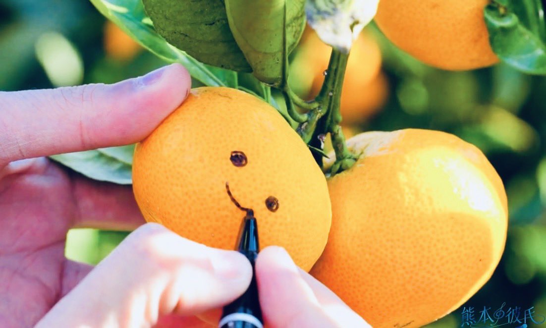 右田柑橘 tweet media