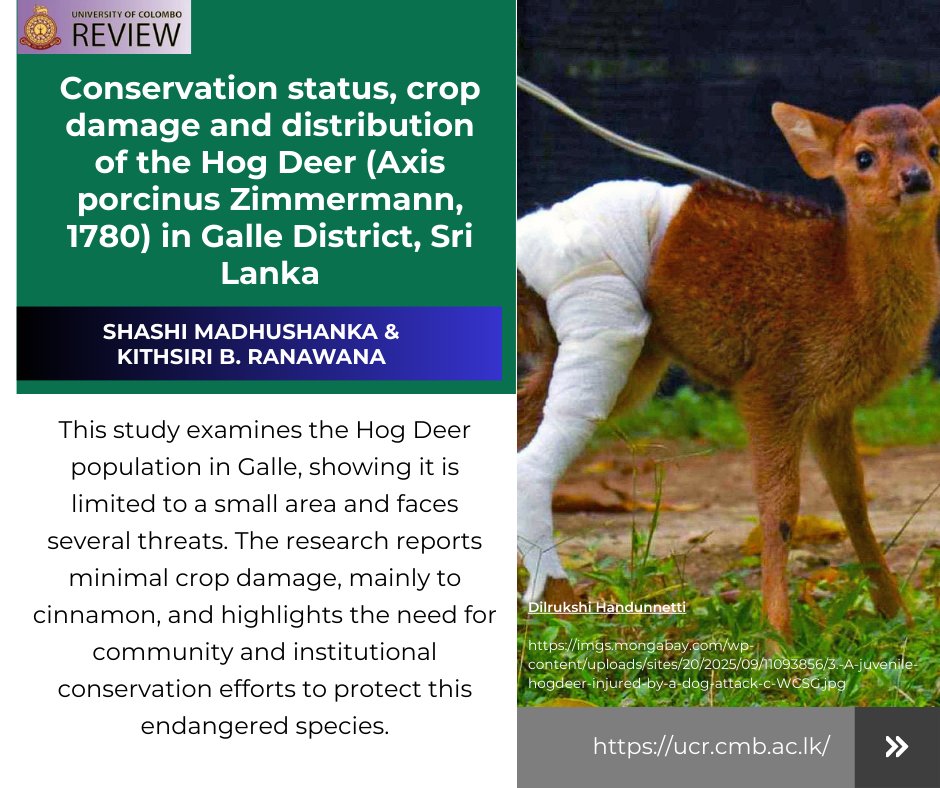 University of Colombo Review tweet media