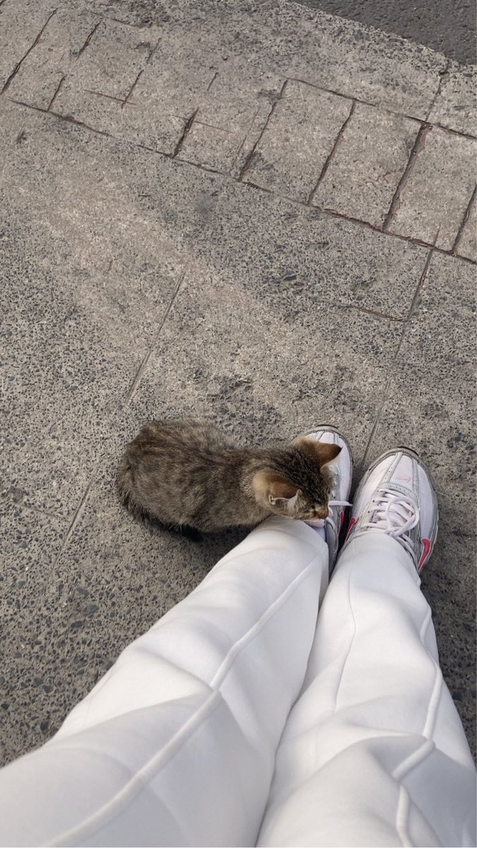 ZeynepByrmoglu's tweet photo. Minik yol arkadaşıma da bakın 😭🥹 https://t.co/L62Cx6C8HQ