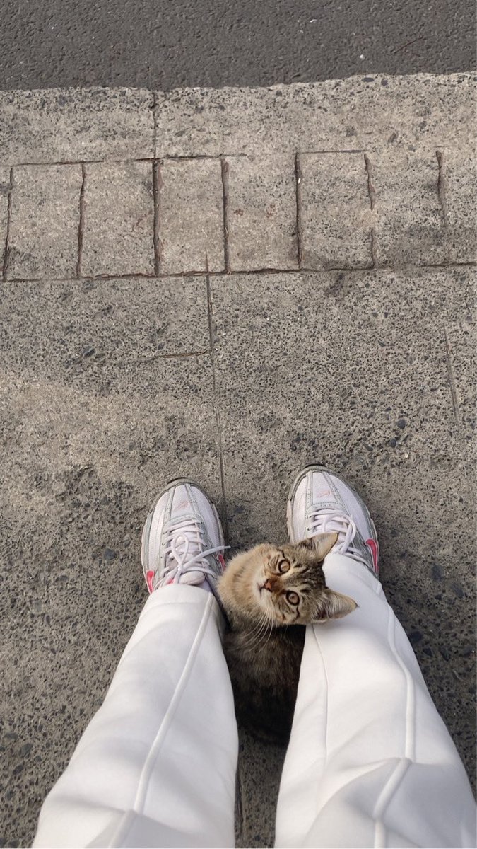 ZeynepByrmoglu's tweet photo. Minik yol arkadaşıma da bakın 😭🥹 https://t.co/L62Cx6C8HQ