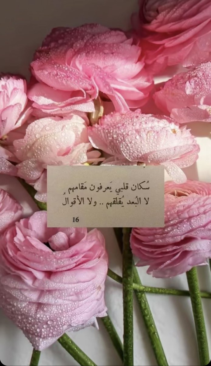 ‏ مخمليه عين .،،.🇸🇦 tweet media