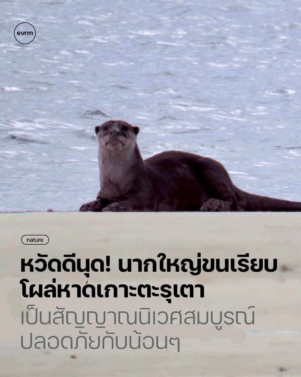 environman tweet media