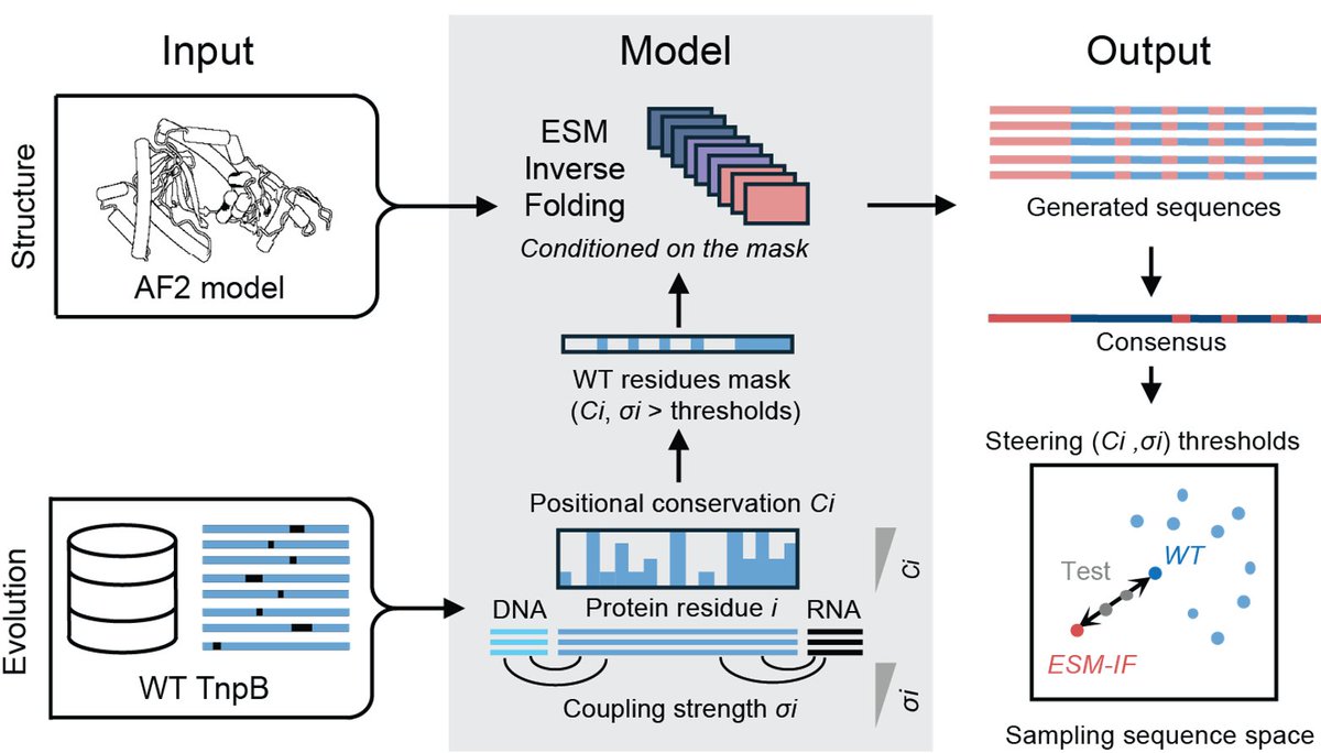 Isabel Esain tweet media