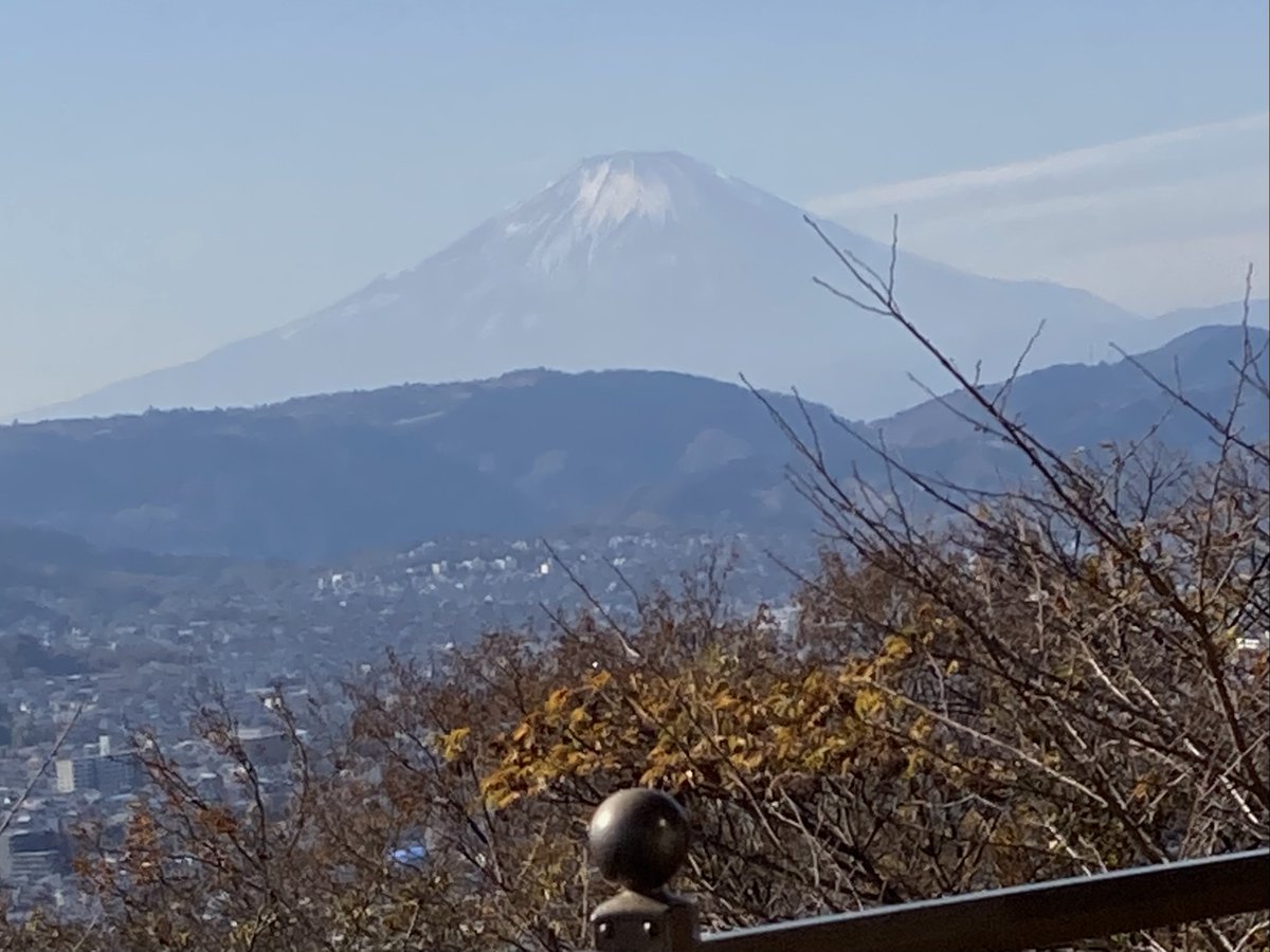 YoKK246's tweet photo. Dec 08, 2025　#弘法山 （秦野）　#富士山　#紅葉 https://t.co/ZCXpirETHV