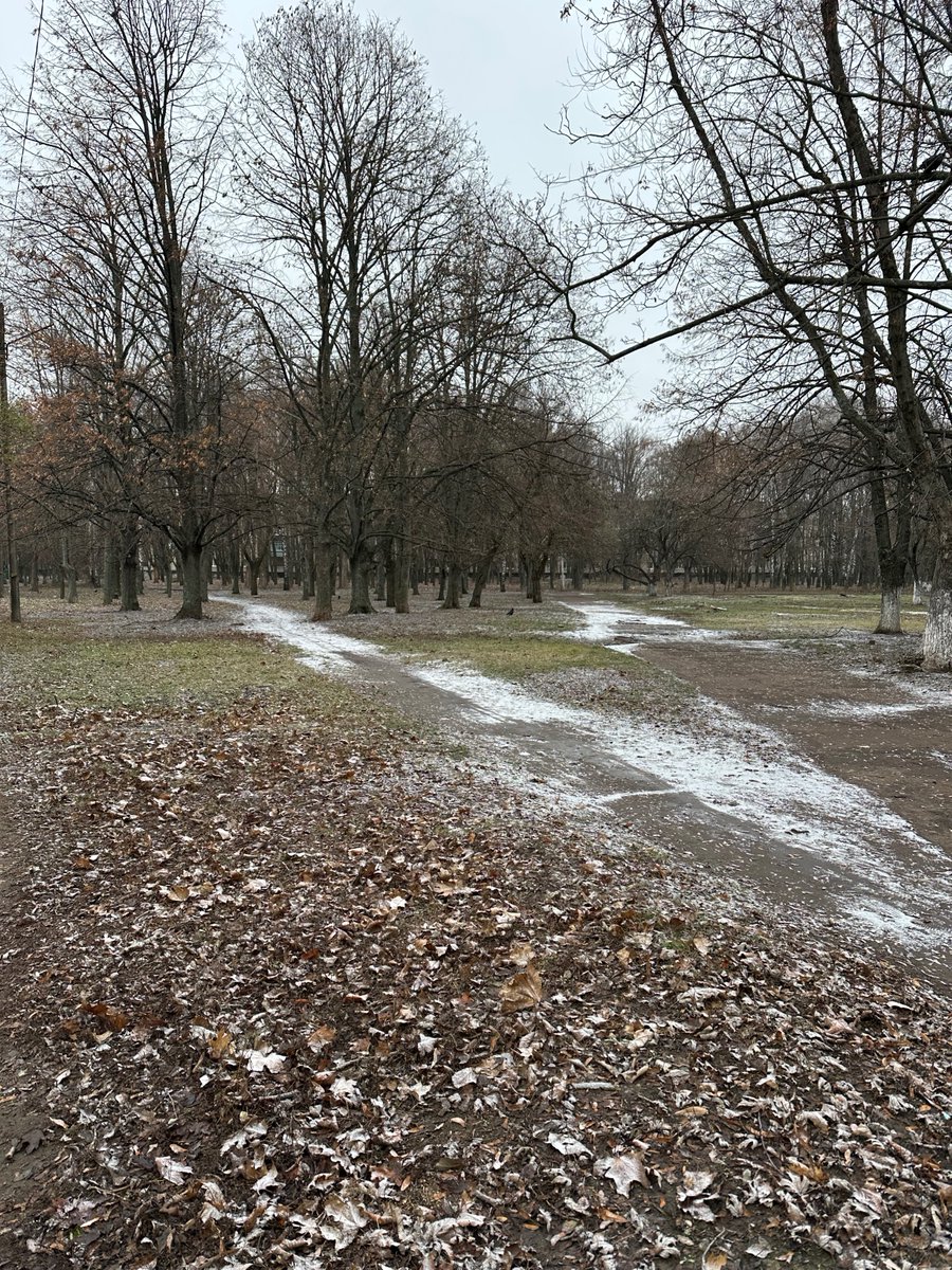 Сммниця Твого Майбутнього tweet media