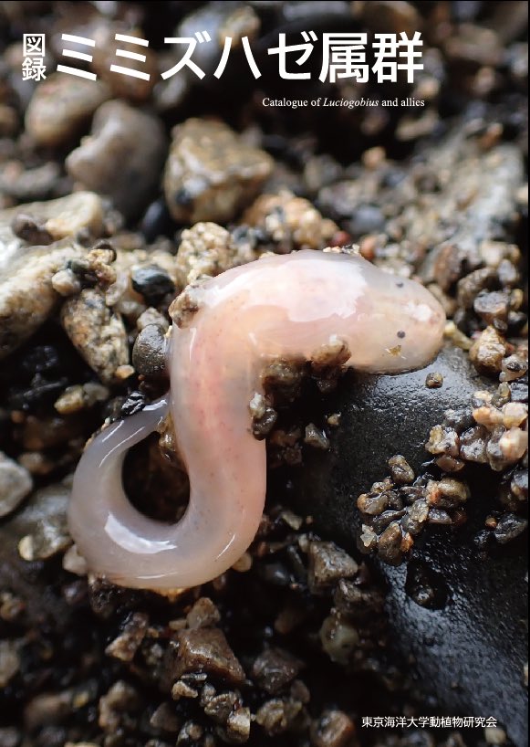 図録では従来の図鑑では深く触れられることのなかったマニアックで謎