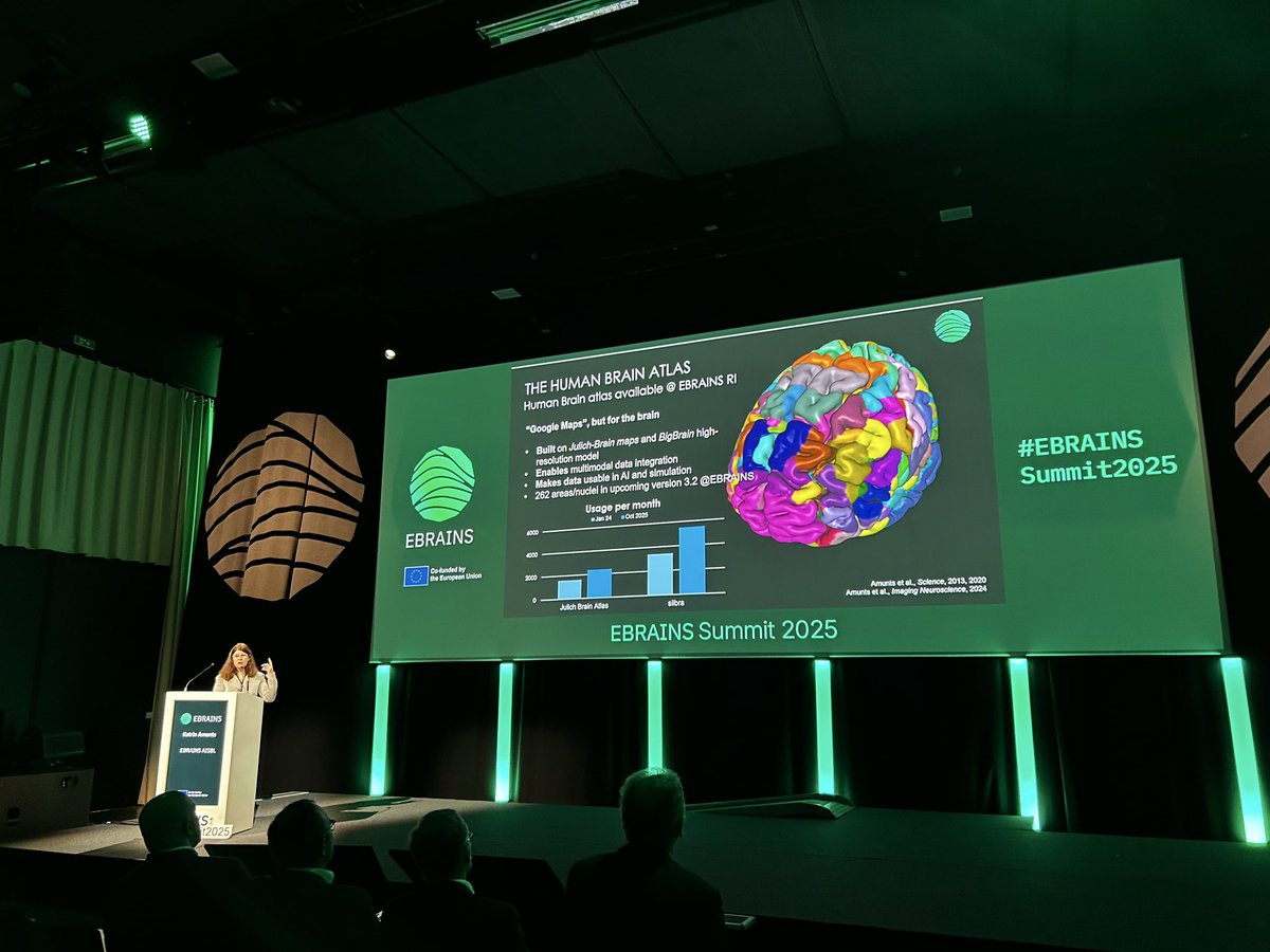 EBRAINS_eu's tweet photo. Katrin Amunts presents highlights of scientific advances enabled by EBRAINS including by many researchers who are not themselves part of EBRAINS but have used the infrastructure for their work. She highlighted the role of the data infrastructure, the brain atlases and expected progress at #EBRAINSummit2025. Learn more: https://t.co/3pNmaROWZE