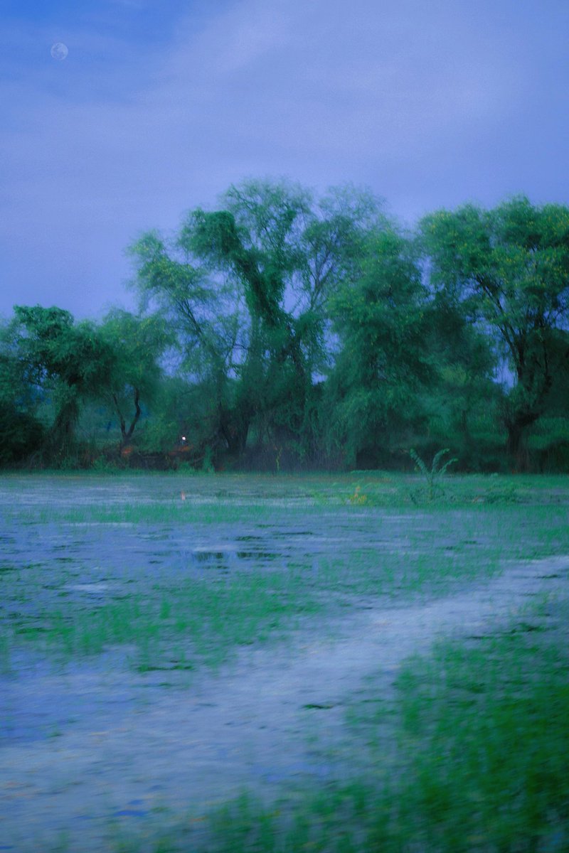 archittsharmaaa's tweet image. if anyone could’ve saved me , it would’ve been you.