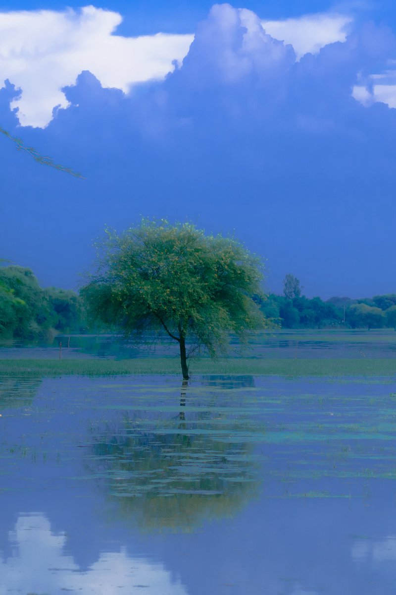 archittsharmaaa's tweet image. if anyone could’ve saved me , it would’ve been you.