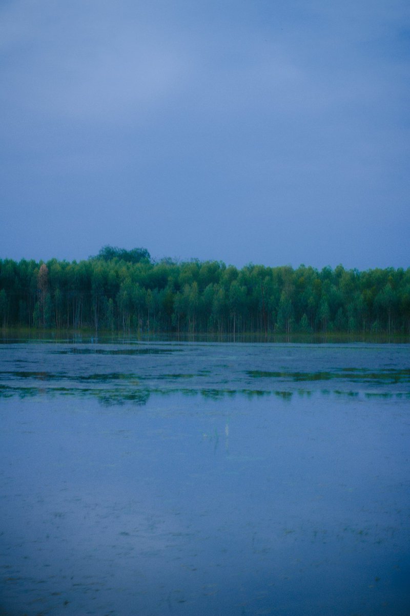 archittsharmaaa's tweet image. if anyone could’ve saved me , it would’ve been you.