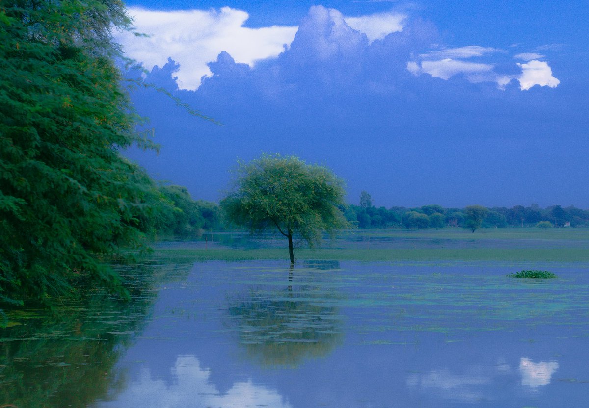 archittsharmaaa's tweet image. if anyone could’ve saved me , it would’ve been you.