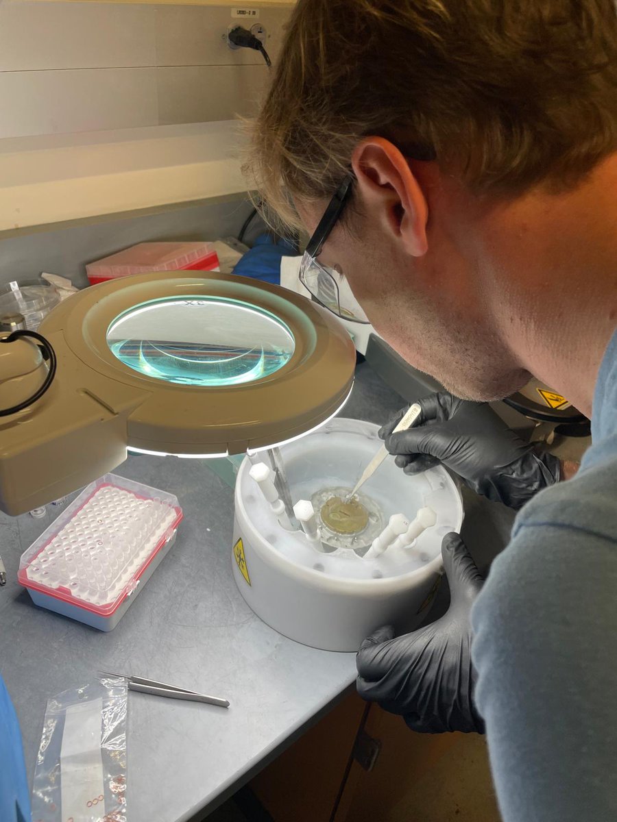 Isabel Esain tweet media