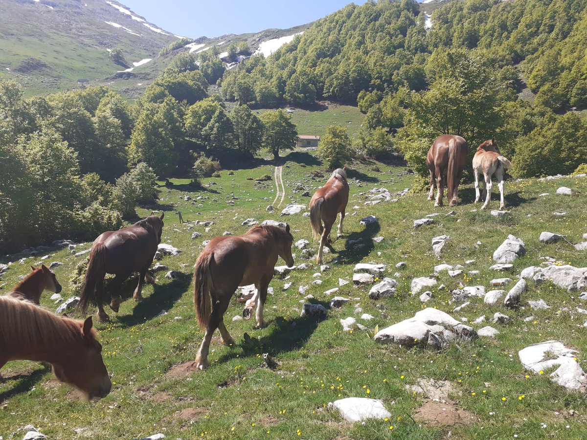 LIFE Grace tweet media