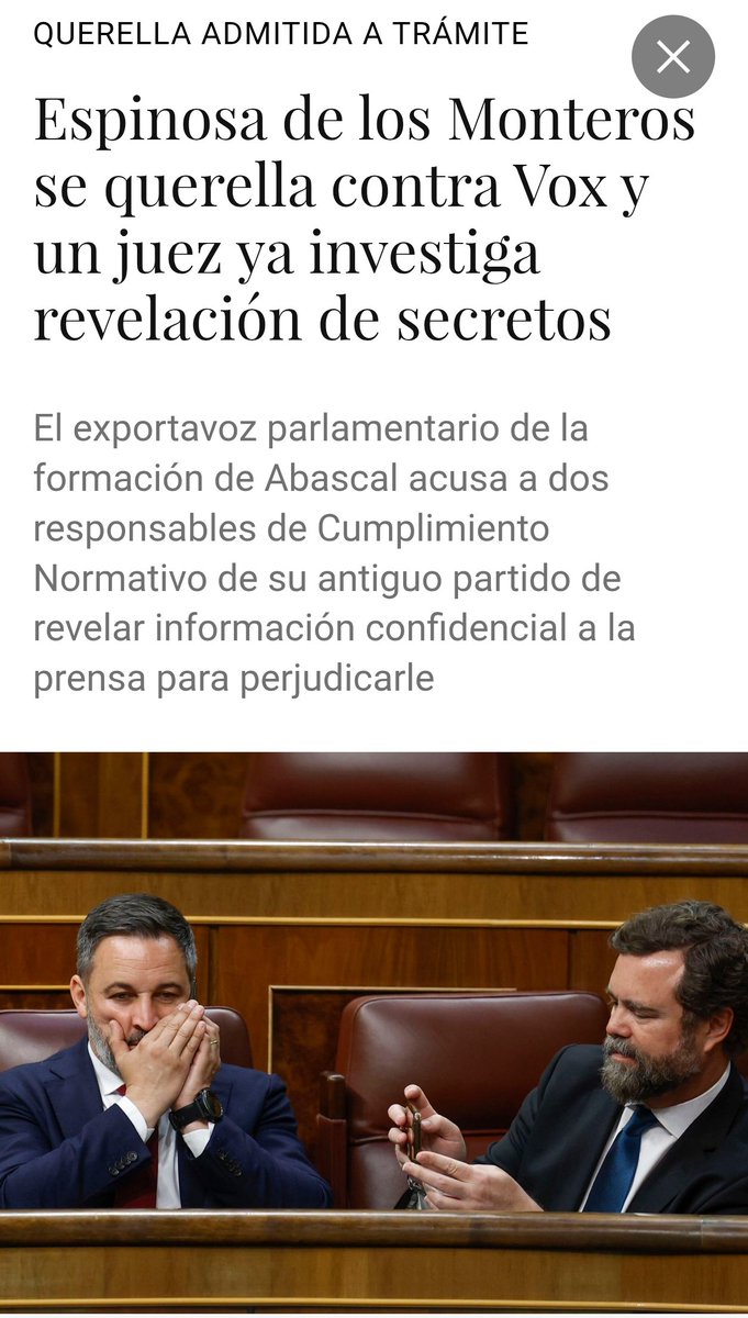 Cuando un fundador de tu partido acaba querellándose por revelación de secretos y un juez abre investigación, el problema no son los críticos: es la forma en que se ha degradado el proyecto. De regeneración a cloacas internas. La deriva de Vox ya no es ideológica, es