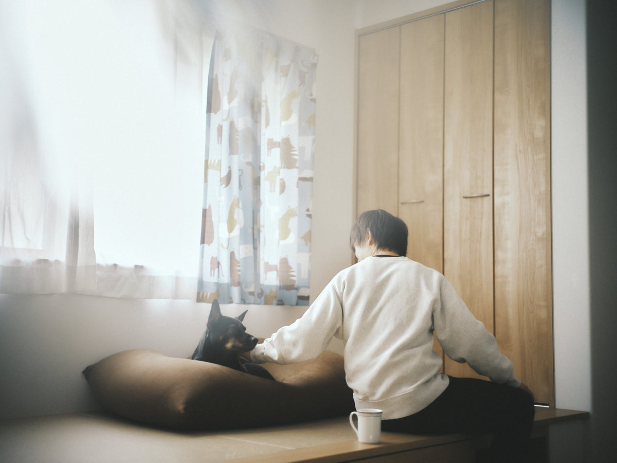 LIFE DRAFT tweet media