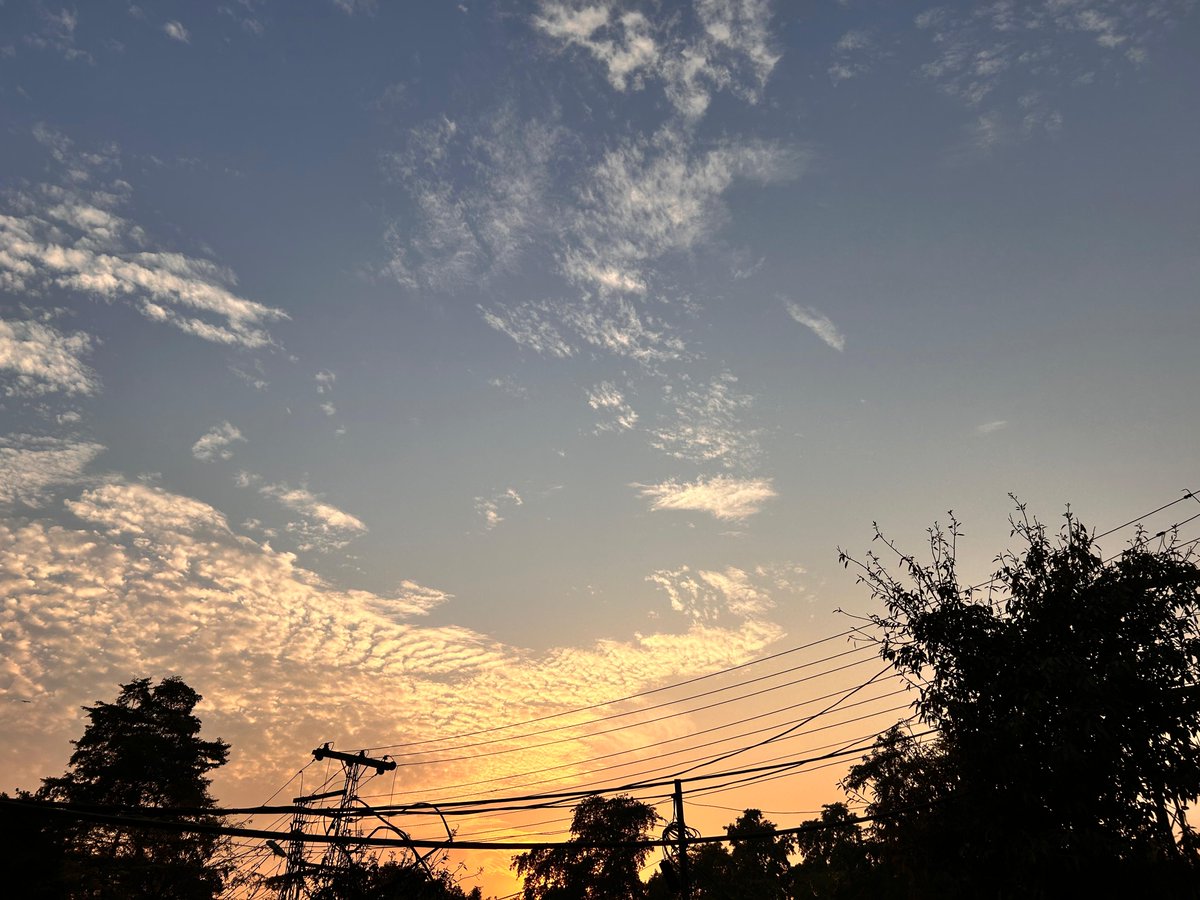 Evenings are for soft thoughts calm hearts and gentle gratitude

Good Evening ☕