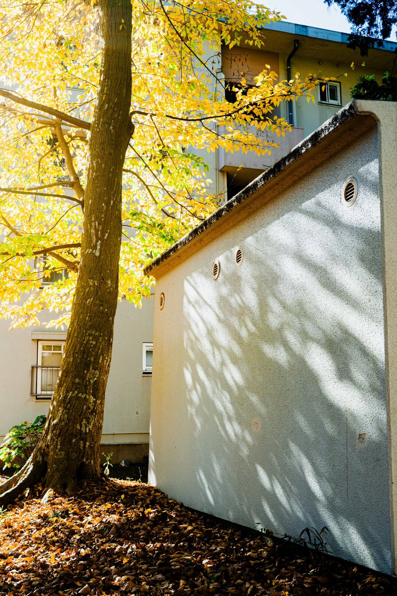 秋の光を浴びる日々