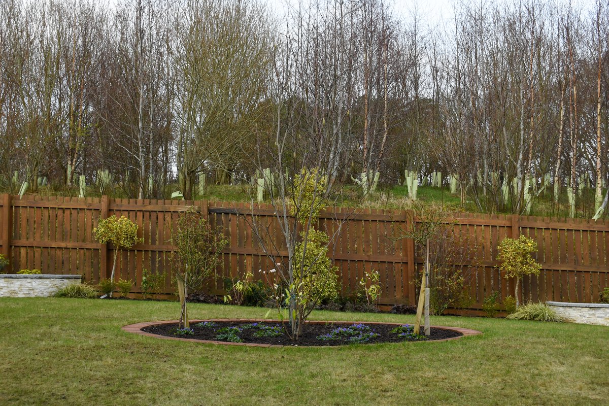 Paradigm Landscapes 🌿 tweet media