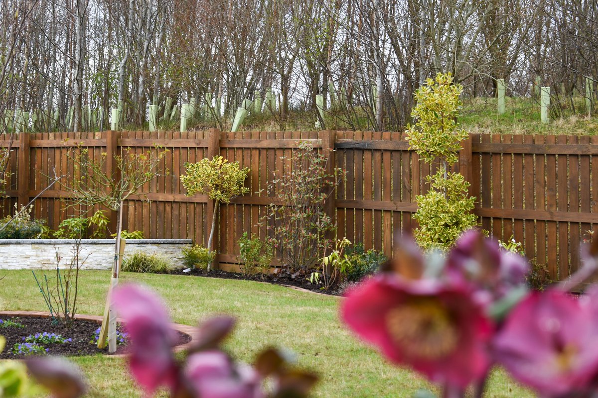 Paradigm Landscapes 🌿 tweet media