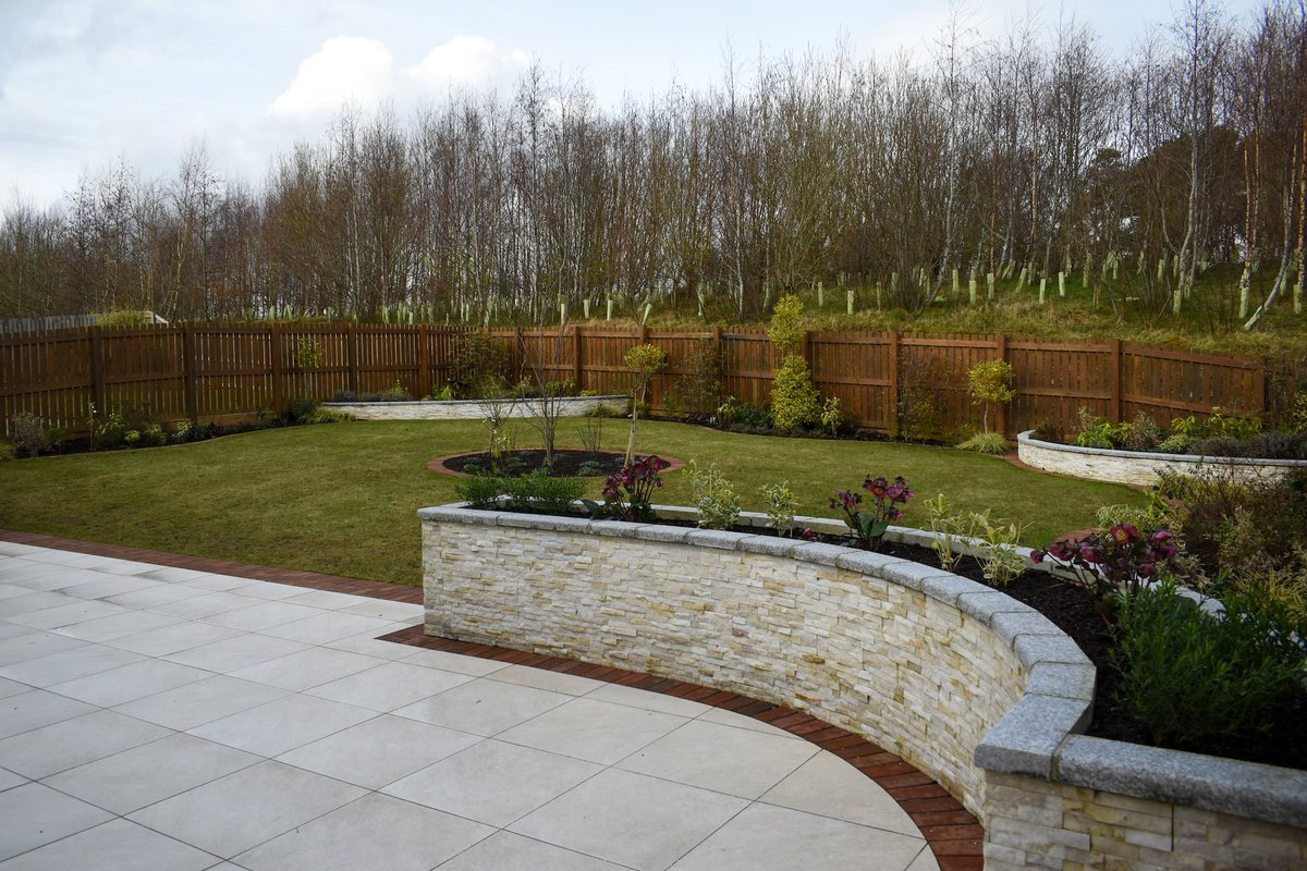 Paradigm Landscapes 🌿 tweet media