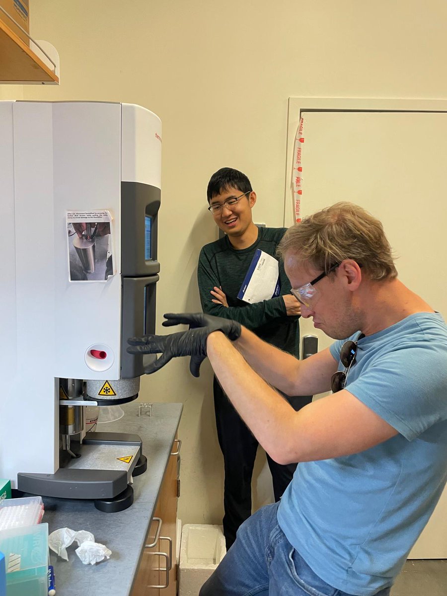 Isabel Esain tweet media