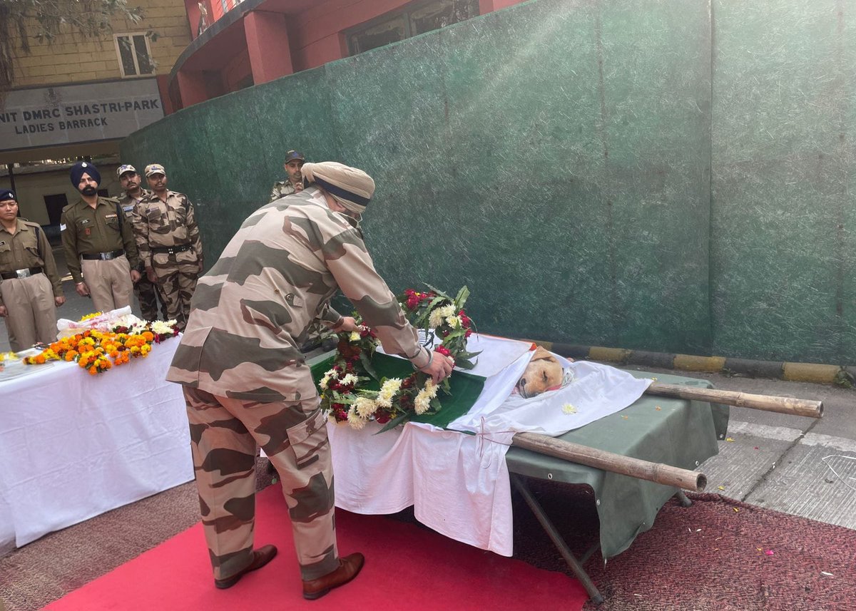 CISFHQrs's tweet image. A Heartfelt Farewell to K9 Hero Raja.

With deep grief and great pride, CISF pays tribute to K9 hero Raja, who sacrificed his life in the line of duty at CISF Unit DMRC Delhi.

#Raja wasn’t just a dog—he was a trusted comrade, a frontline protector and a symbol of silent