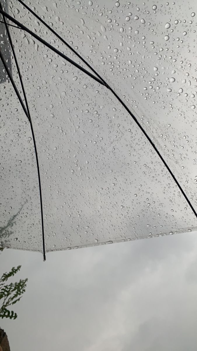 #جده_lلان
أتمنى أن يُمطر الله على قلبي بمسراتٍ مُتعددة، 
أن يُحيي قلبي بربيع أُمنياتي واحدة تلو الأُخرى، 
أن أفرح ..