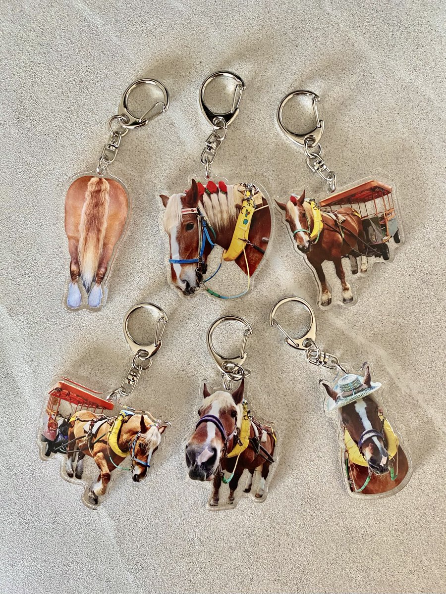 🤍💛💜𝕙𝕚𝕣𝕒𝕘𝕒𝕟𝕒💜💛🤍 (@hg_5656) / Posts / X