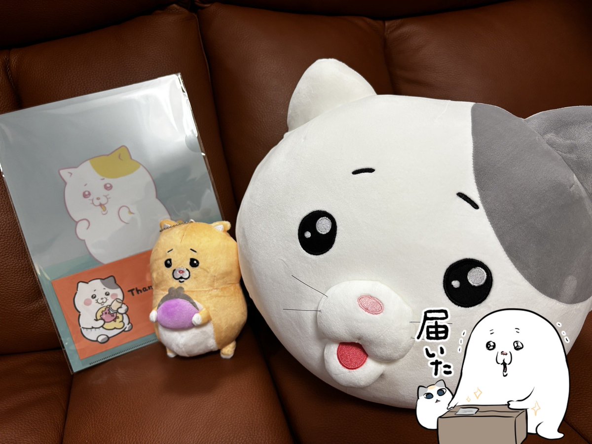 モフ缶 (@peroty6e) / Posts / X