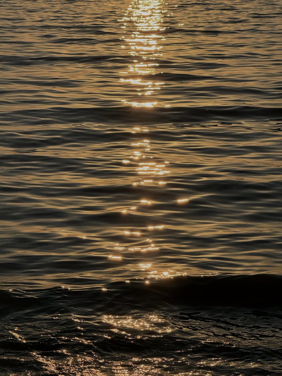 lostyouinmay's tweet image. dazz cam จบหลังกล้อง aesthetic เกิน ㅜㅜ