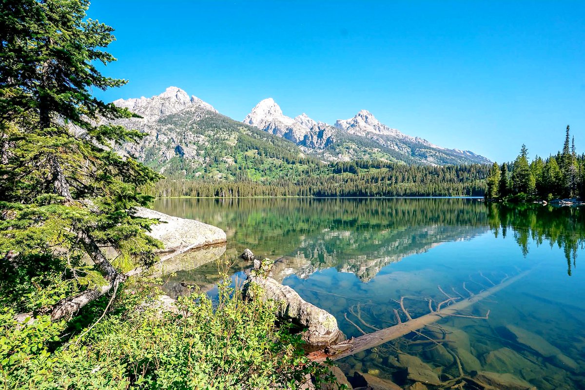 Good morning from Wyoming