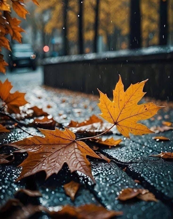 Hwhelp799's tweet image. Need expert help with Matlab? Get assistance with expression testing, curve fitting, communication systems, computer vision, signal processing, data acquisition, GUI creation, system stability and numerical differentiation. DM for online classes, homework, assignments, and exams