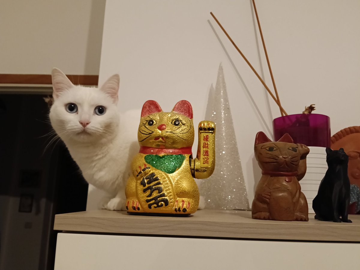 うちのにゃんこコレクション。