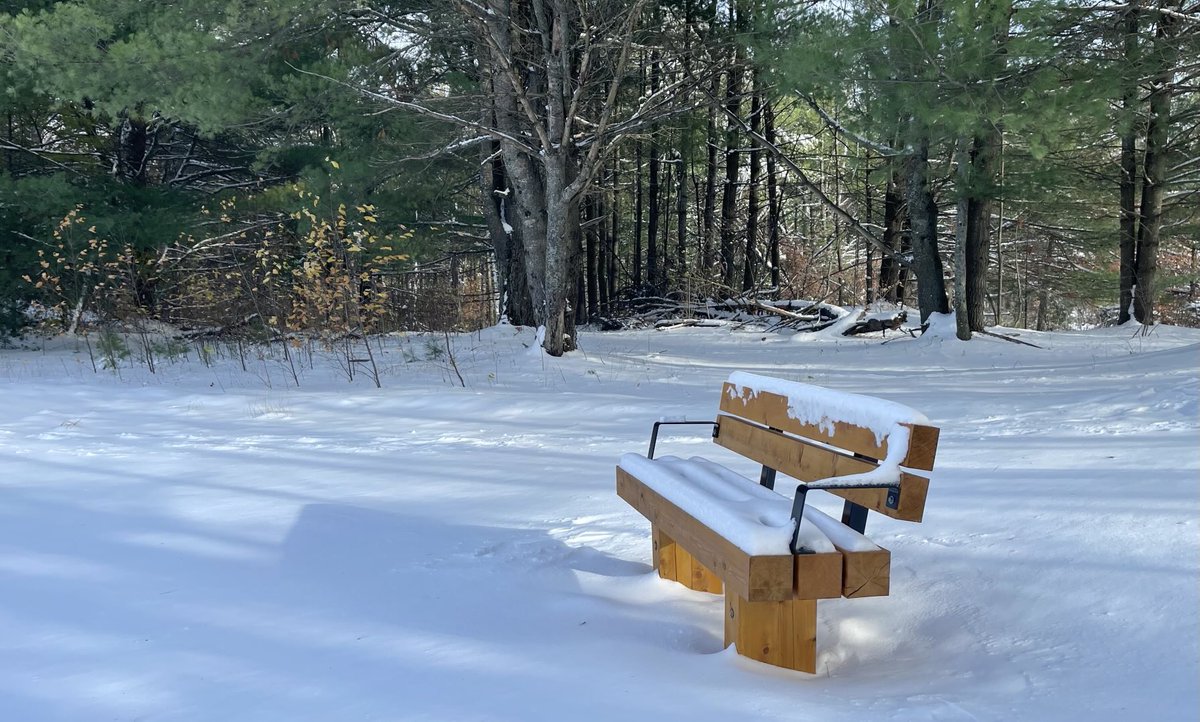 Ian Black tweet media