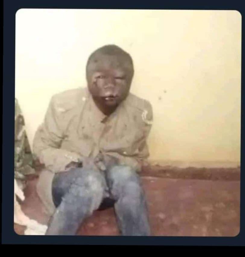 Plato's Cousin tweet media