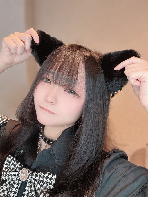 キャットウォーク Catwalkのツイート