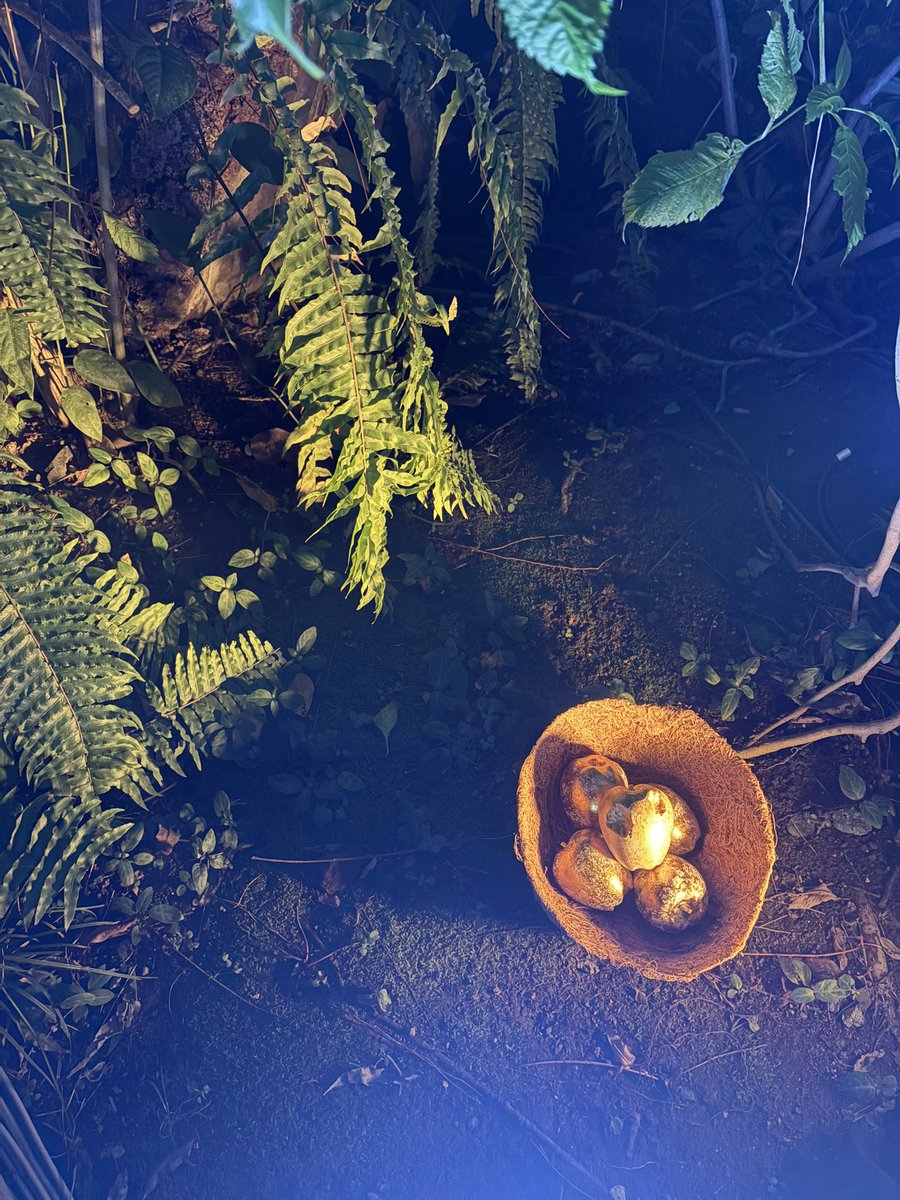 ガッツリ食っとるな〜