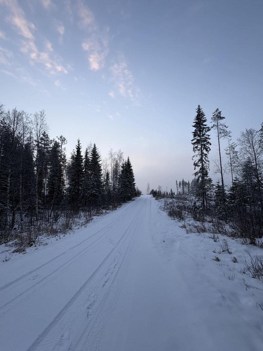 RitvaKnuuti's tweet image. Aamulenkillä !#ranua #9.12.2025