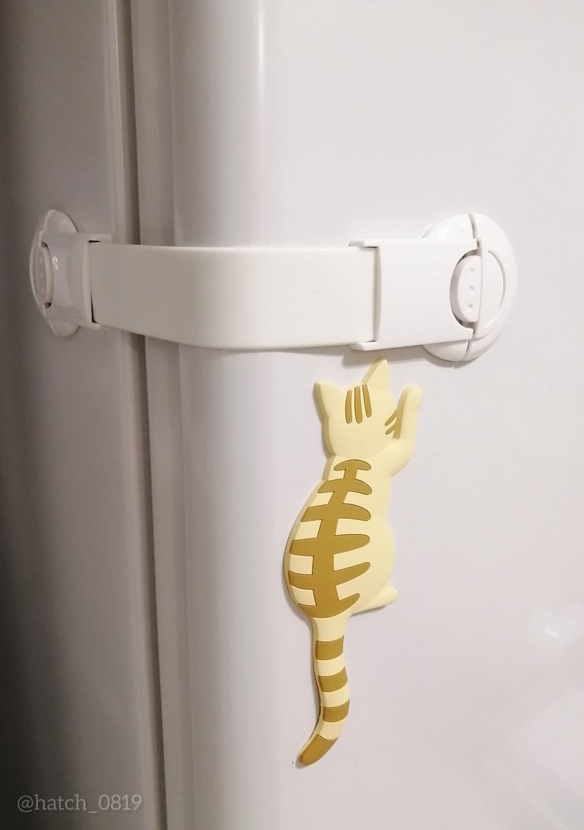 ハッチ@僕だよ (@hatch_0819) / Posts / X