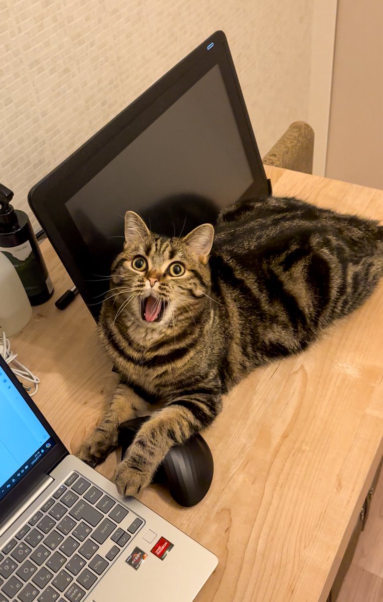 ひかっちさま確認ページ♡ まじで一瞬引っかかりそうになった、、、 みなさんも気をつけて