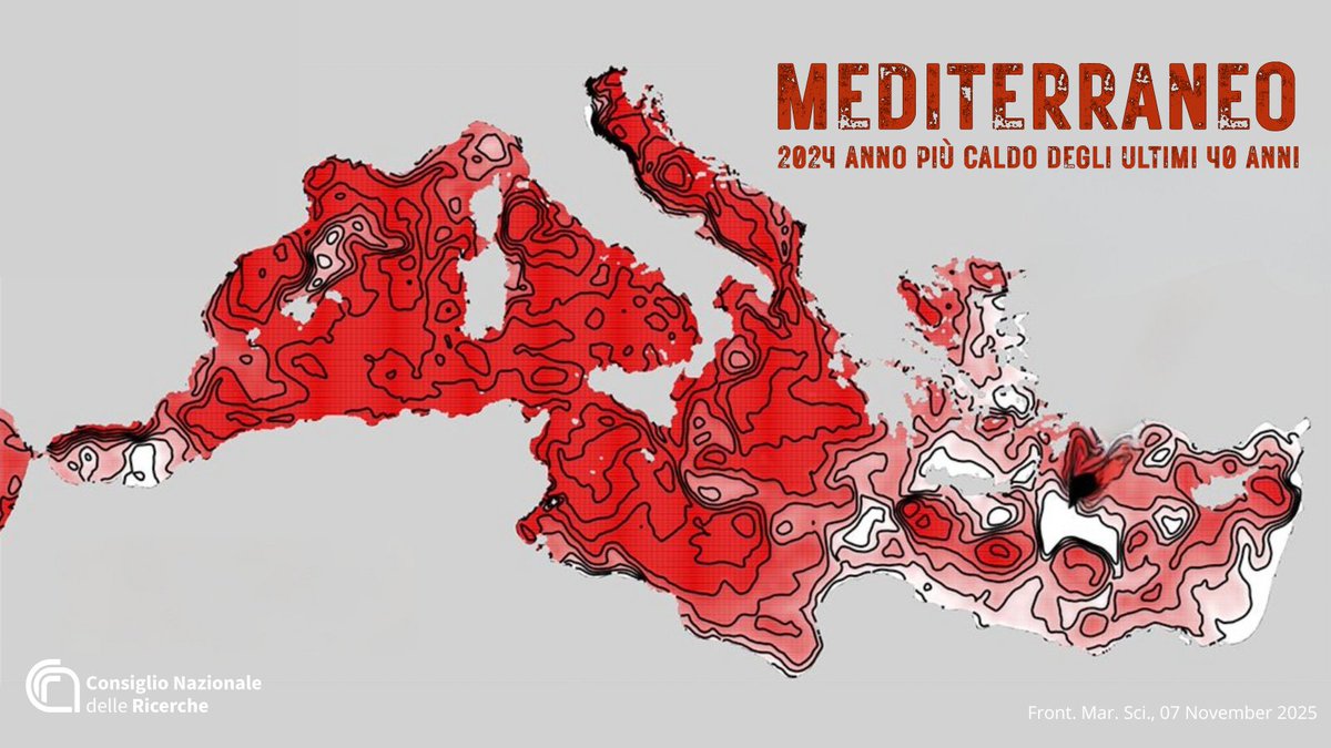CNR Consiglio Nazionale delle Ricerche tweet media
