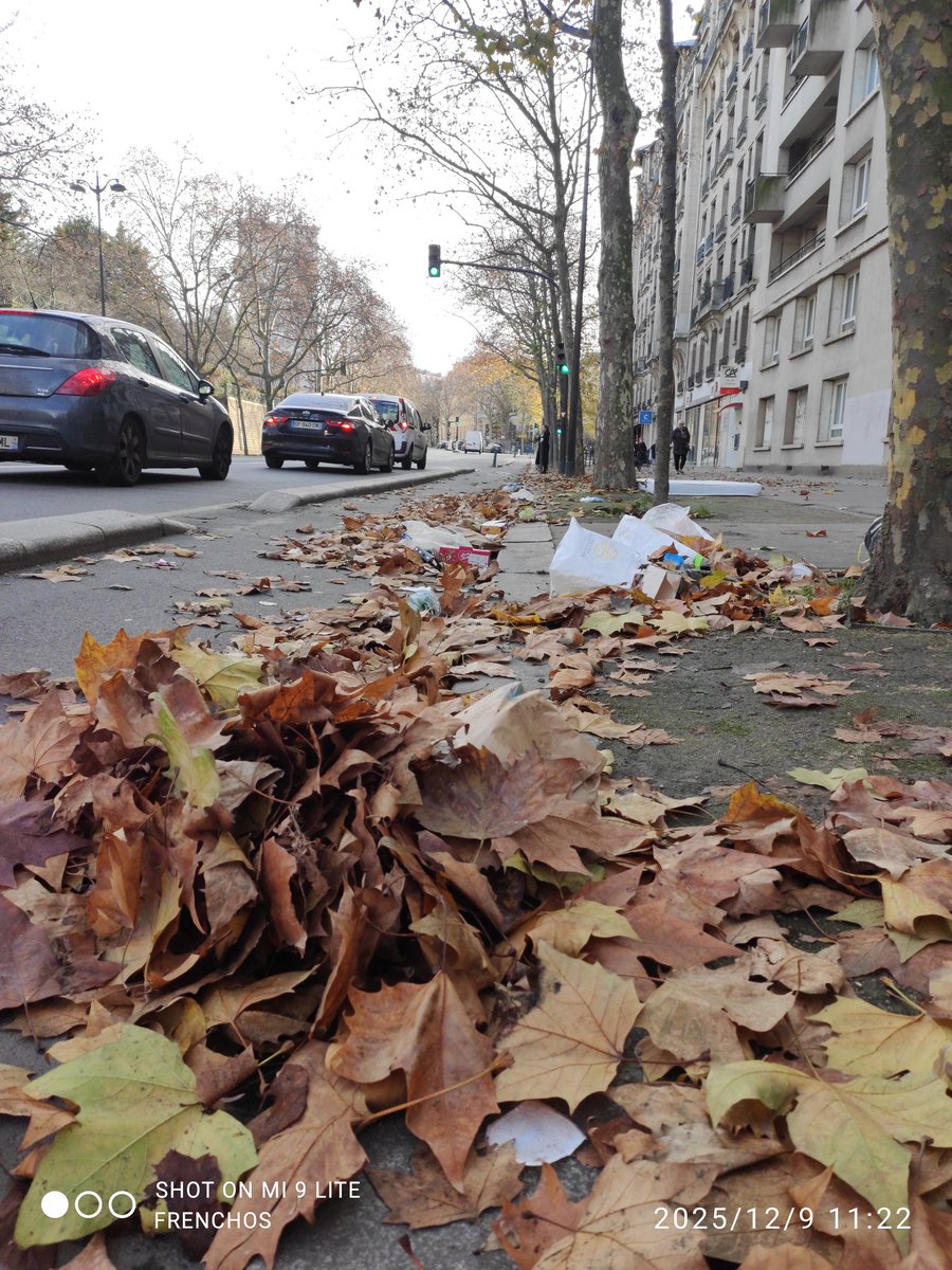 frenchos's tweet photo. Sympa les décos de Noël @Mairie12Paris @EPierreMarie (oui c est votre mairie au fond) @Paris https://t.co/owVHYyvYlu
