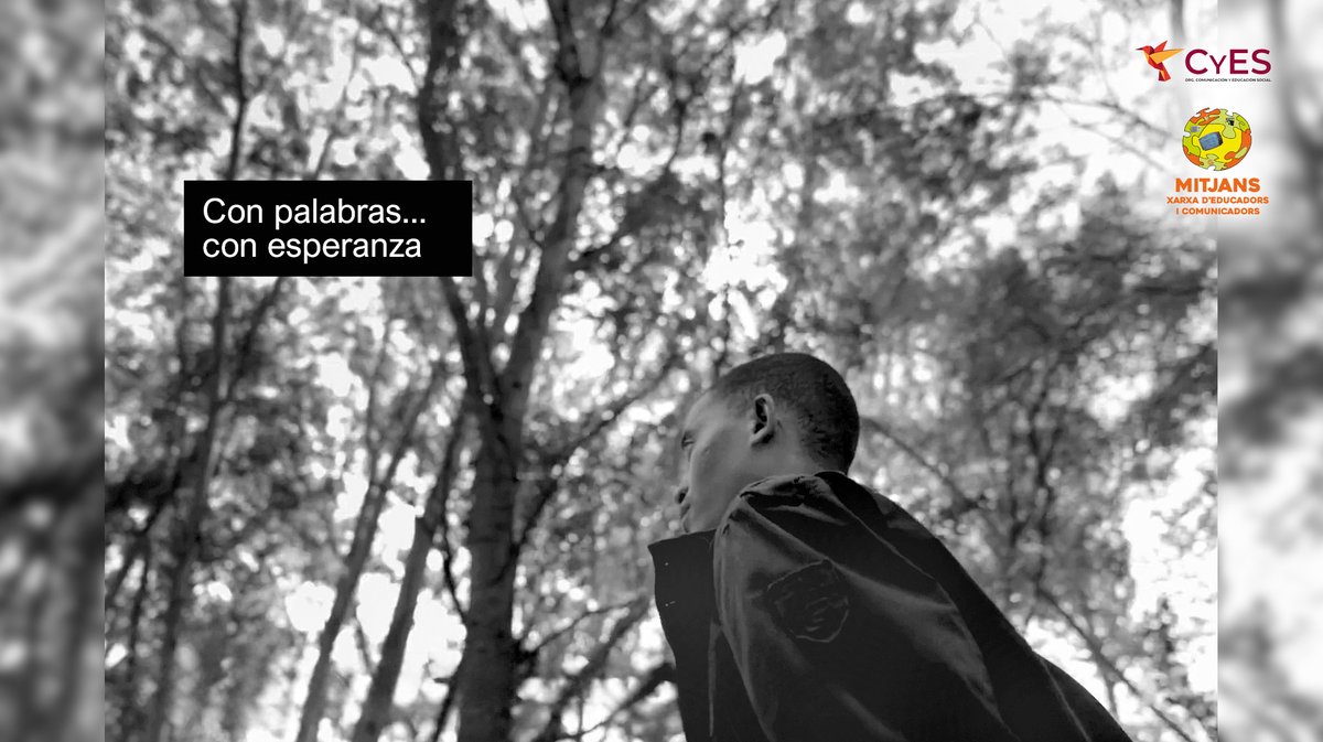 Tony Vacas tweet media