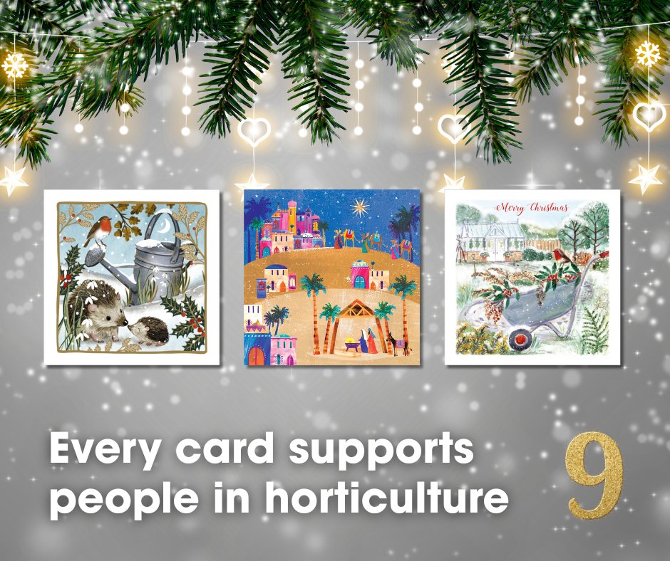 PerennialGRBS's tweet image. ✨9 
It’s Day 9 of our 24 Days of Highlights &amp;amp; #NationalChristmasCardDay. We’ve sold over 30,000 Christmas cards in support of Perennial so far this festive season.

Shop here &amp;amp; help spread the word we're here to help people in horticulture:
shop.perennial.org.uk/collections/ch…
#ShopPerennial