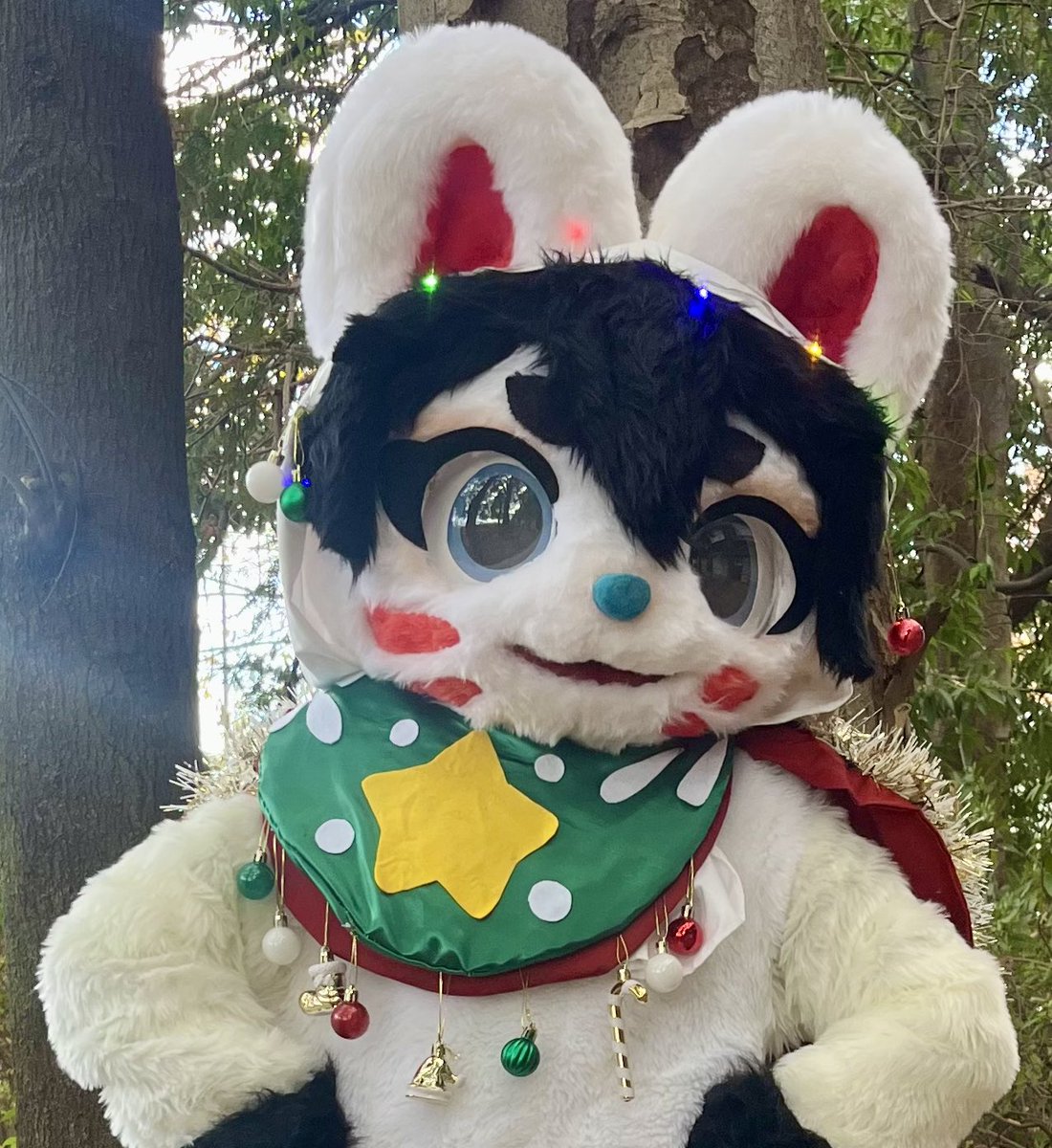 ドクターかる医 tweet media