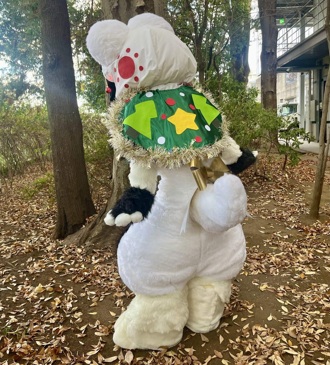 ドクターかる医 tweet media