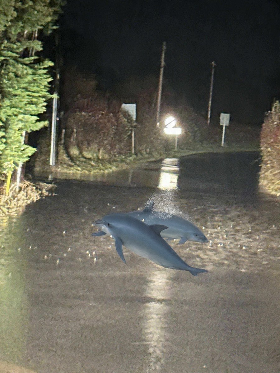 Clive Chamberlain tweet media